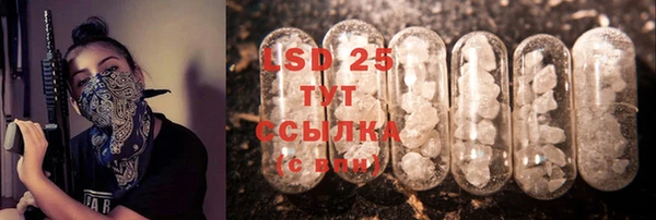 гидра Покачи