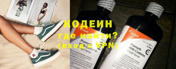 гидра Покачи