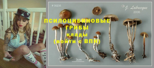 прущая мука Переславль-Залесский