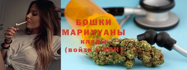 гидра Покачи