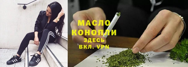 гидра Покачи