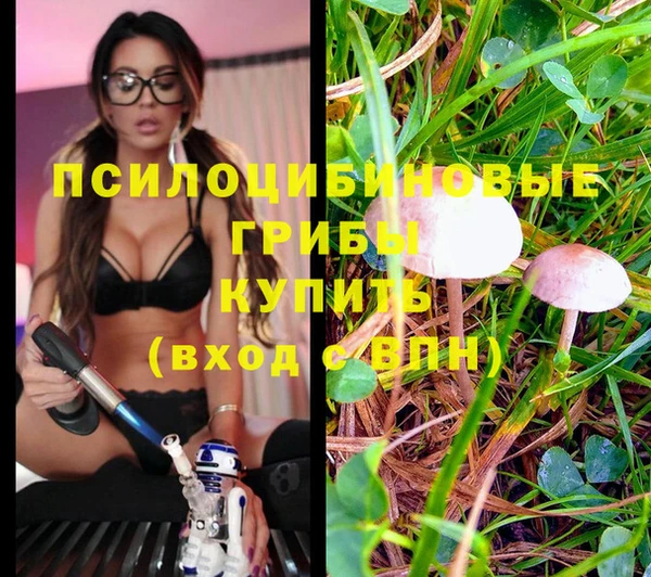 гидра Покачи