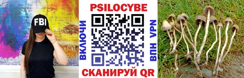Галлюциногенные грибы Psilocybe  darknet наркотические препараты  Берёзовский 